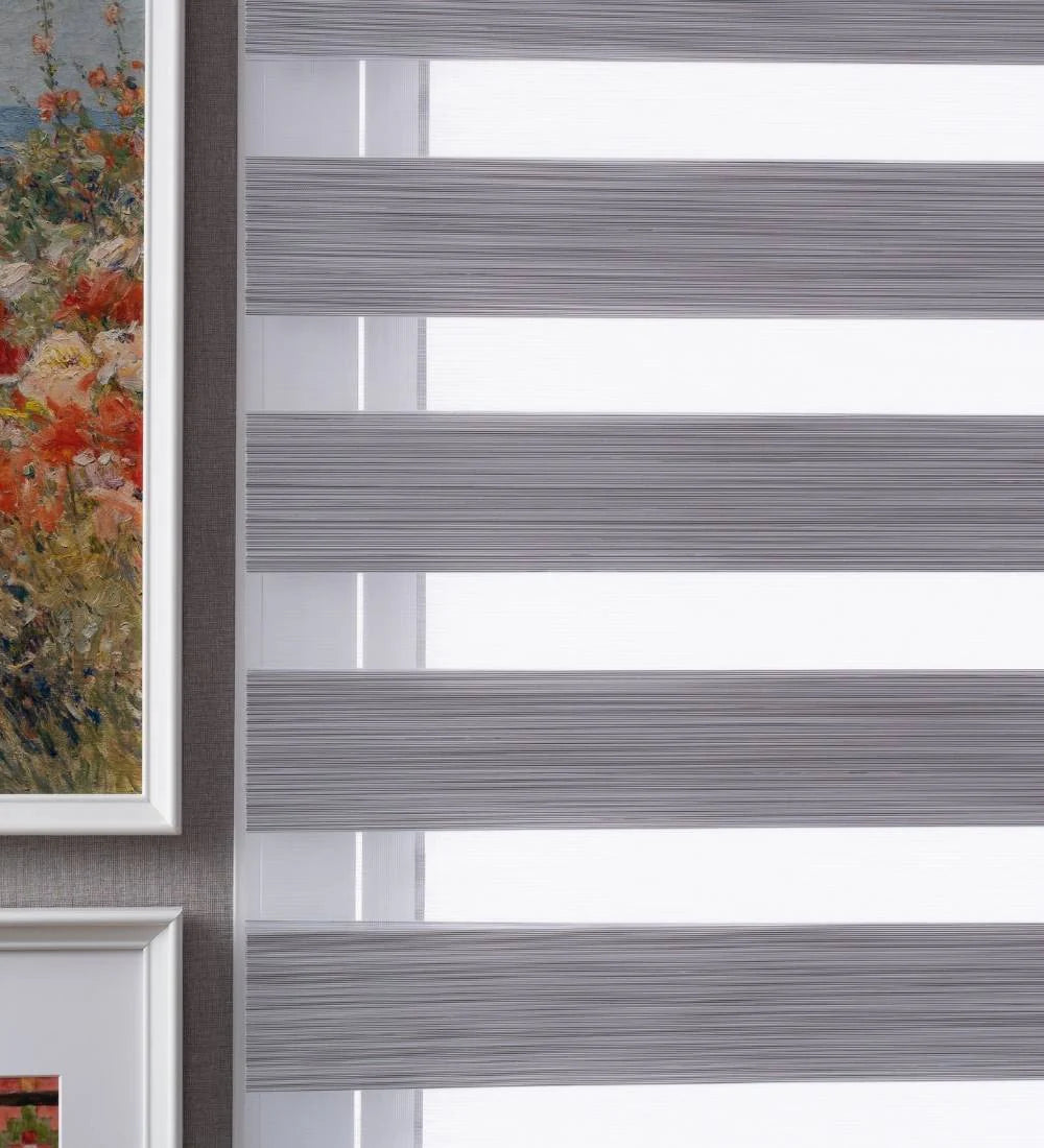 Tarin Classic Light Filtering Zebra Blinds