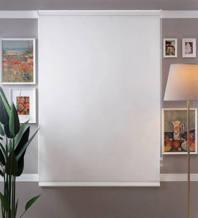 Bojan Classic Blackout Roller Blinds