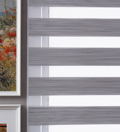 Tarin Classic Light Filtering Zebra Blinds