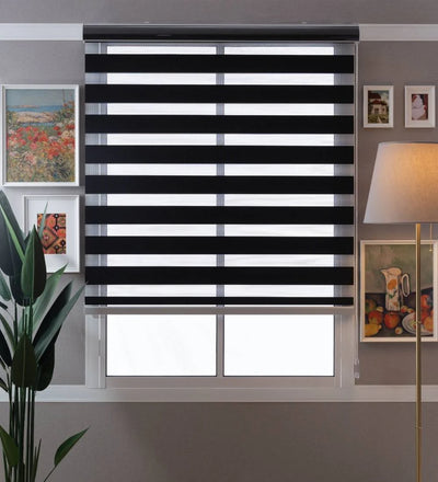 Tisa Signature Light Filtering Zebra Blinds
